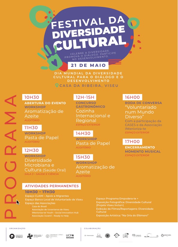 Festival da diversidade cultural de Viseu